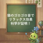 【論文が証明】猫のゴロゴロ音でストレス軽減！科学的な癒し効果