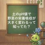【研究が証明】土のpHで野菜の栄養価が大きく変わる！