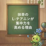 【論文が証明】抹茶に秘められた集中力パワー、カフェインより優れた理由